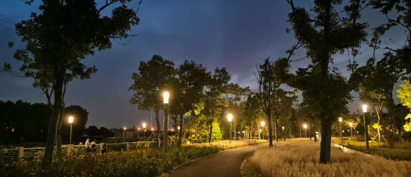 皇粮浜公园道路照明工程